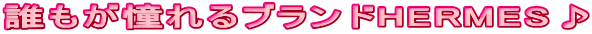 �N���������u�����hHERMES��
