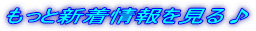 �����ƐV�����������